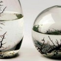 EcoSphere