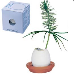 Bio Tamago Ei