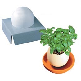 Bio Tamago Ei